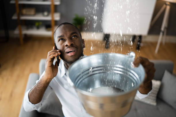 Best Carpet water damage restoration  in Downingtown, PA