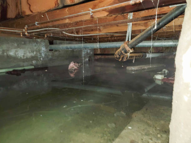 Best Emergency water damage restoration  in Downingtown, PA