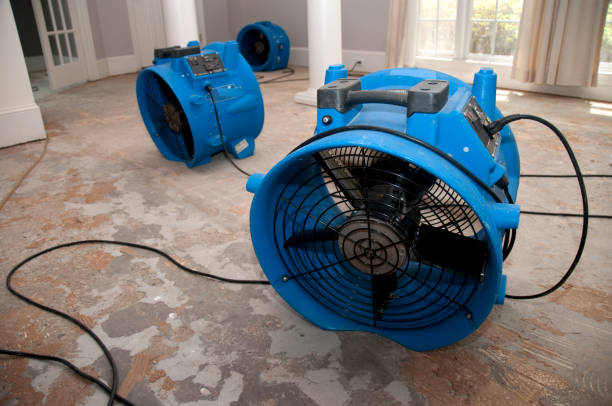 Best Water damage cleanup near me  in Downingtown, PA