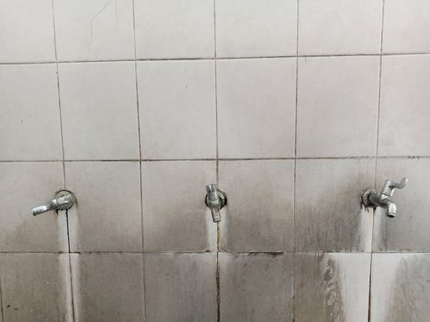Best Mold removal after water damage  in Downingtown, PA