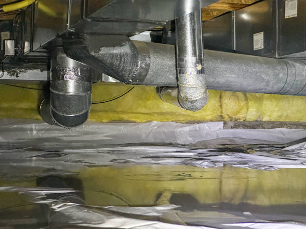 Best Professional water damage repair  in Downingtown, PA