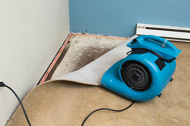Best Professional water damage repair  in Downingtown, PA
